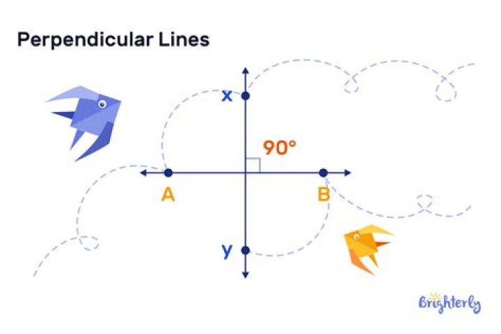 Angle perpendicular lines and x-axis