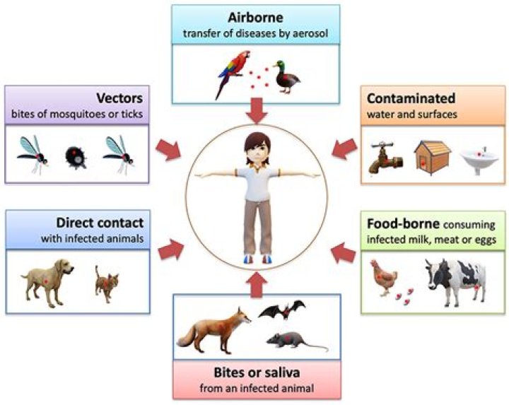 Any way to show wild animal health?