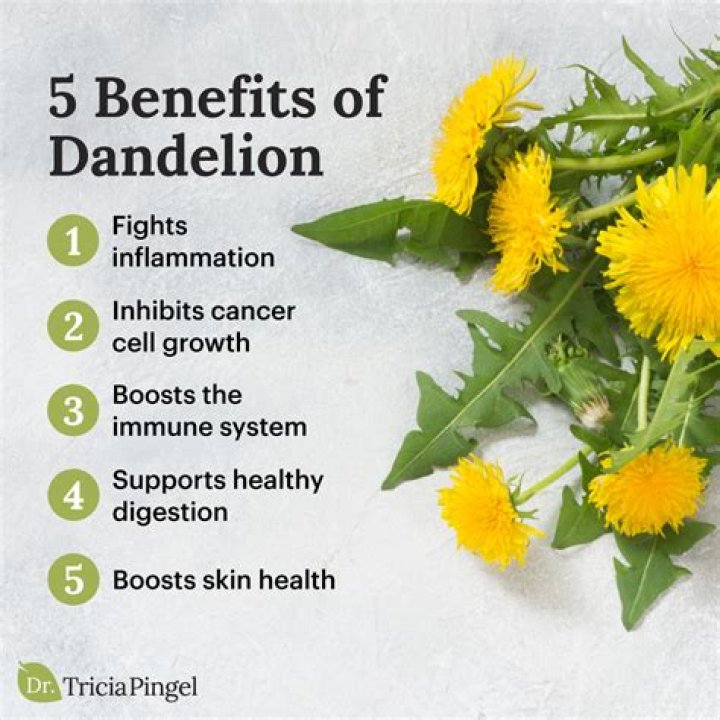 Can Dandelion defeat you?