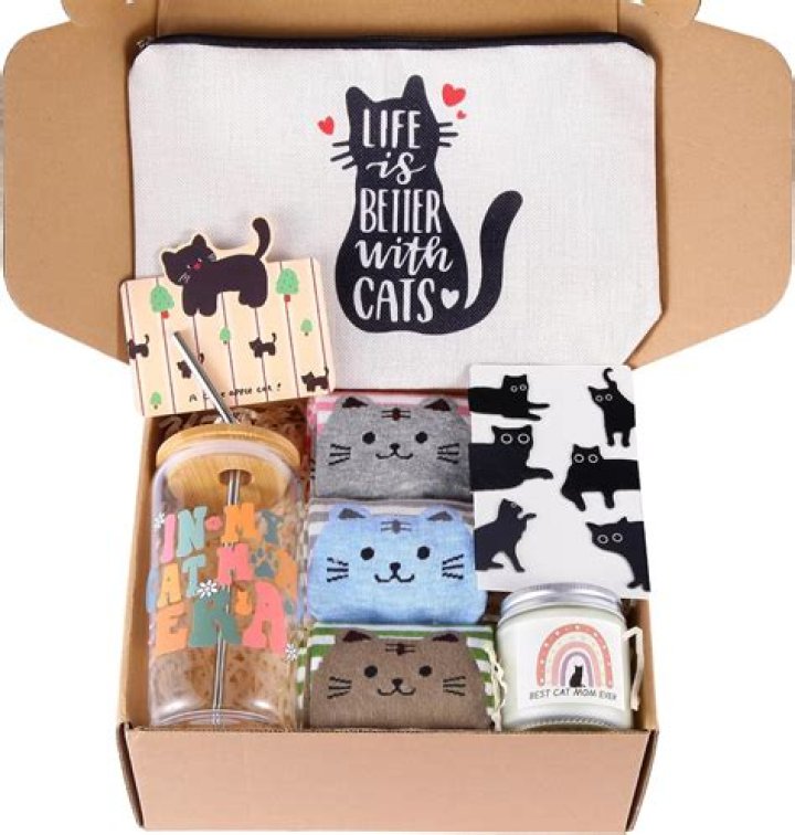 Can I get a cat?