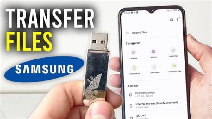 Can I transfer my terraria worlds through a flashdrive?