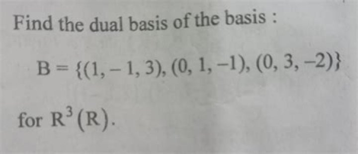 Definition of dual group.
