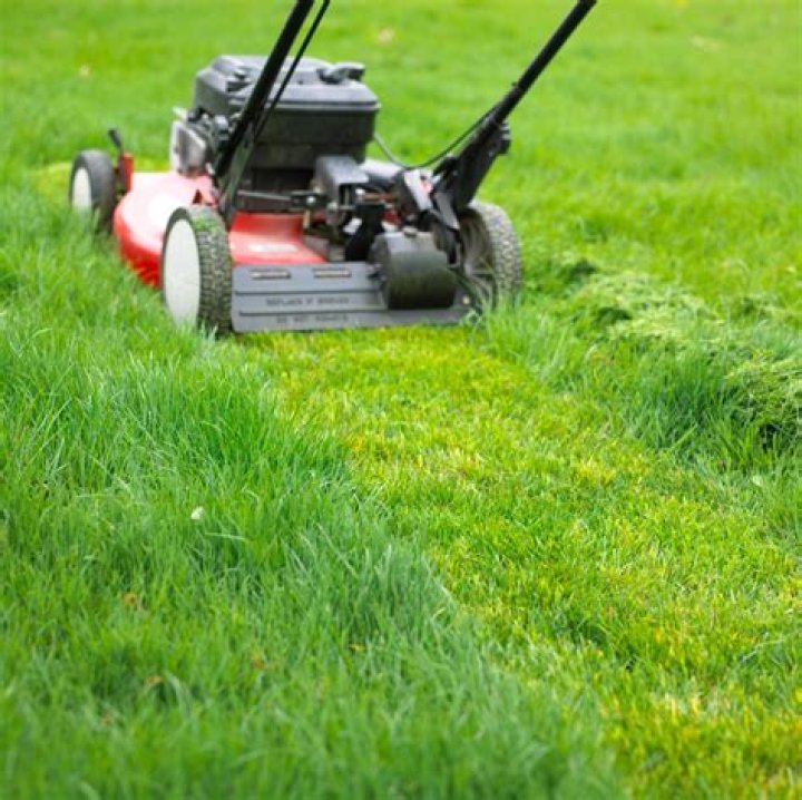 Does Mowing the Grass have benefits beyond aesthetics in RollerCoaster Tycoon?