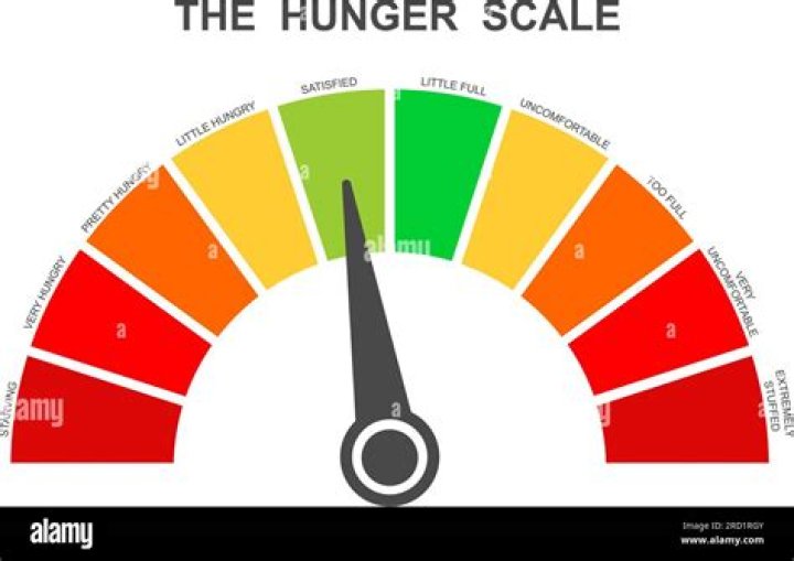 Does the hunger meter decrease at a constant rate?
