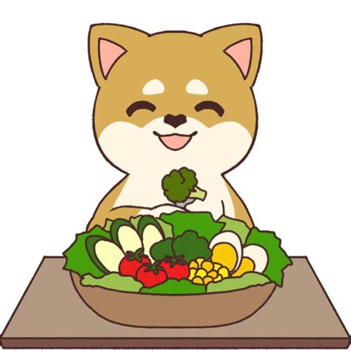 Dog Salad RNG Debunk