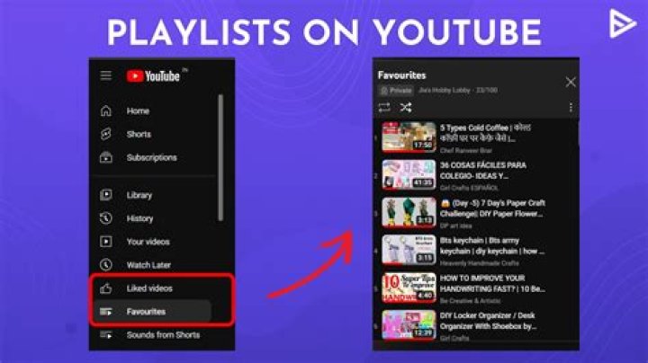 Download youtube playlist from youtube-dl. but no sounds [closed]