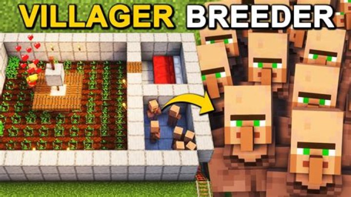 Help with my villager breeder