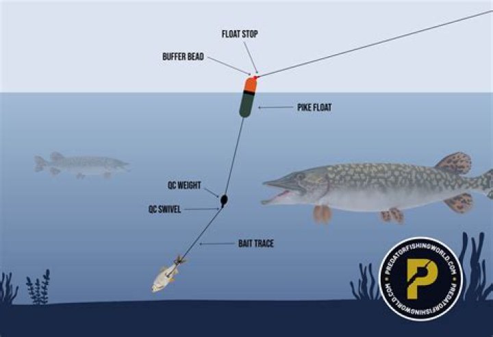 How can I catch better fish in Hades?