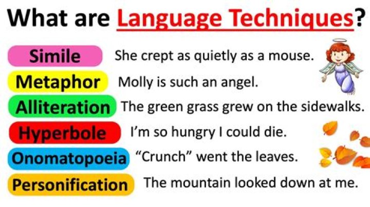 How can I force a language to be used?