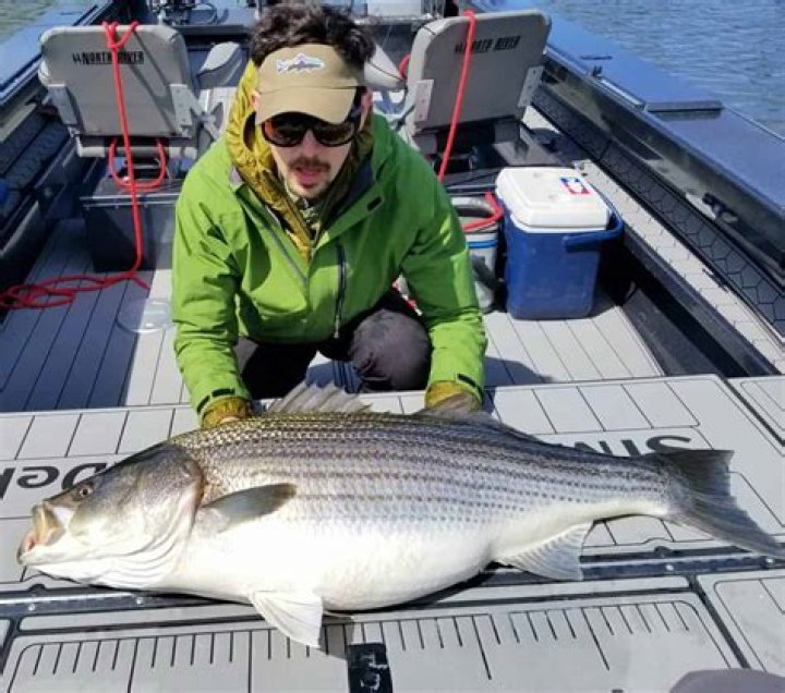 How can I reliably catch fish without drowning?