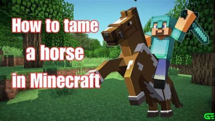 How can I tame a horse in 1.6?
