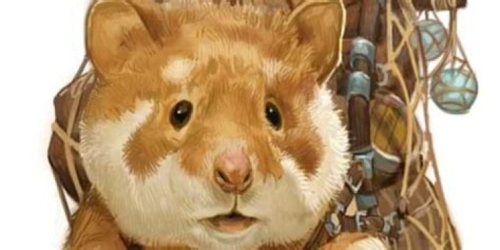 How do I get my lost space hamster back?