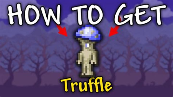 How do I spawn the Truffle?