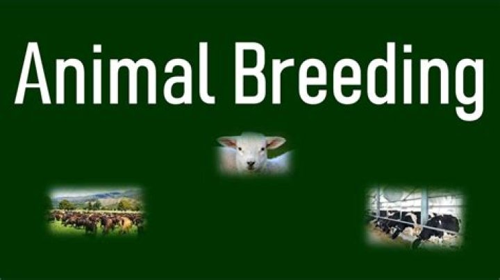 How do you breed animals?