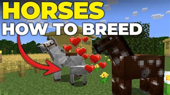 How do you breed better horses?