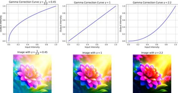 How does the "gamma correction" feature affect my gaming experience?