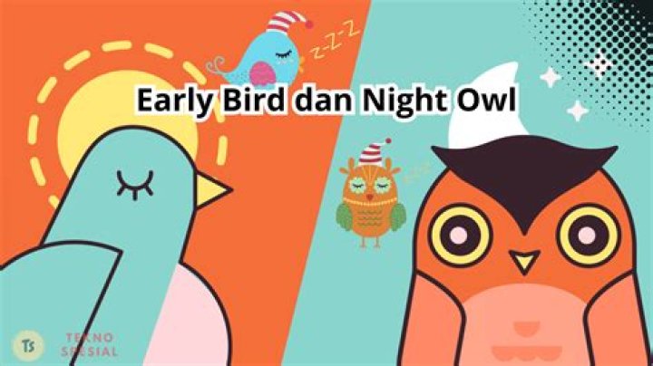 How exactly do the Early Bird/Night Owl Town Ordinances work?