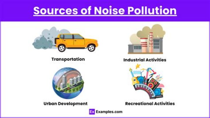 How great is the effect of trees on noise pollution?