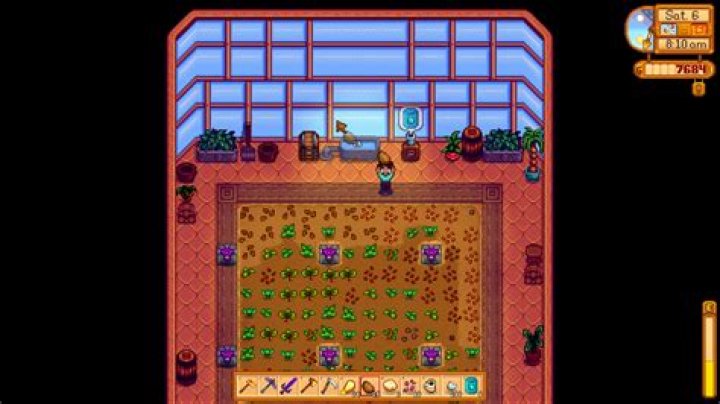 How to produce Ancient Fruits?