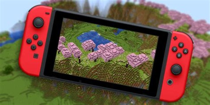 How to put add-ons on Minecraft for Nintendo Switch?