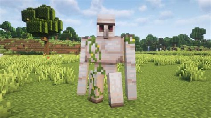 I killed a naturally spawning iron golem. How do I fix my village reputation?