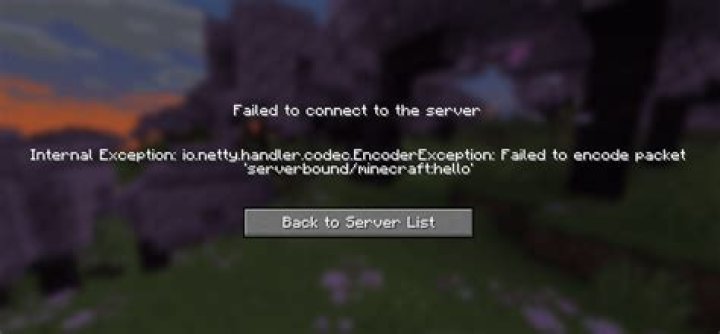 "Internal Exception: badly compressed packet" upon entering server