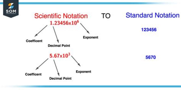 Is there a standard notion of a group "biaction"?