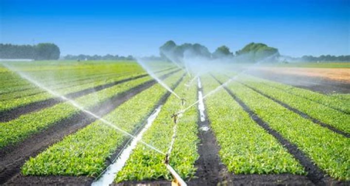 Is there a way for me to irrigate my crops?