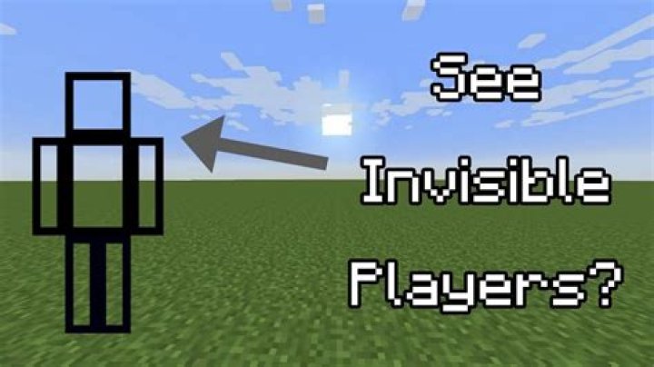 Multiplayer minecraft problems on ps3. Invisible players