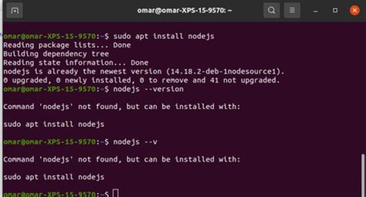 Nodejs appear installed but "--version" is not working. On Ubuntu 20.04 LTS