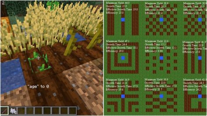 problem with growing plants in minecraft [closed]