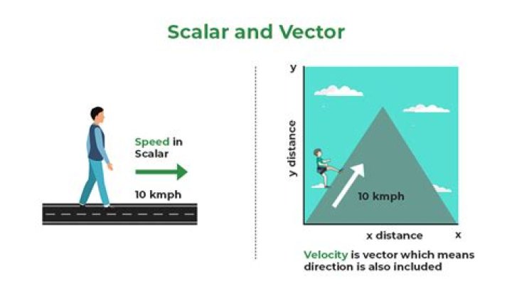 Showing highest weight vectors are weight vectors