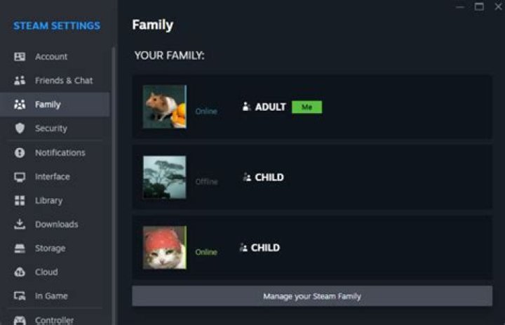 Steam Family Mode won't allow Origin games