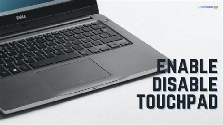 Touchpad stopped working in my Dell inspiron 3000 series and there is no enable disable option in touchpad setting