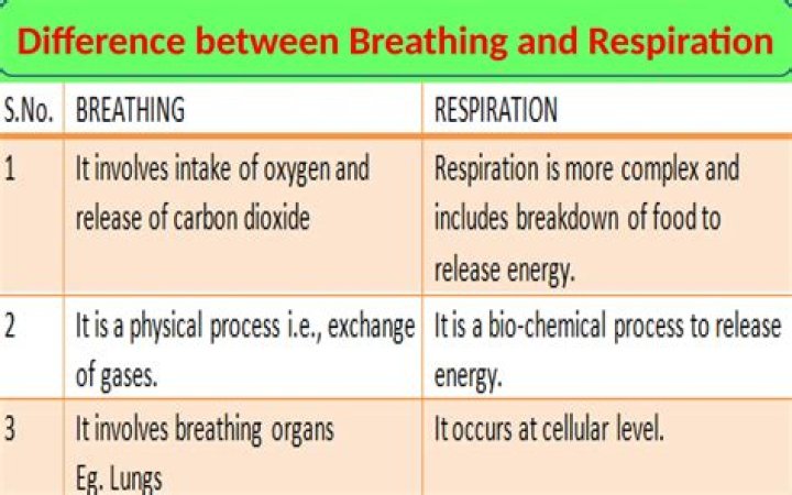 What's the difference between burning and ignite?