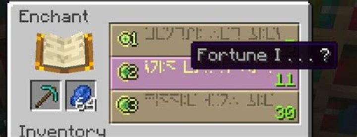 What blocks does the fortune enchant work on?