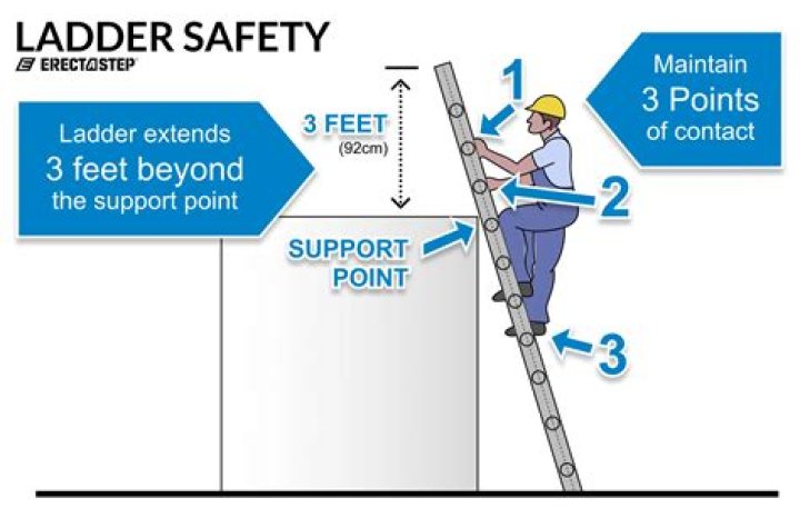 What is a ladder character?