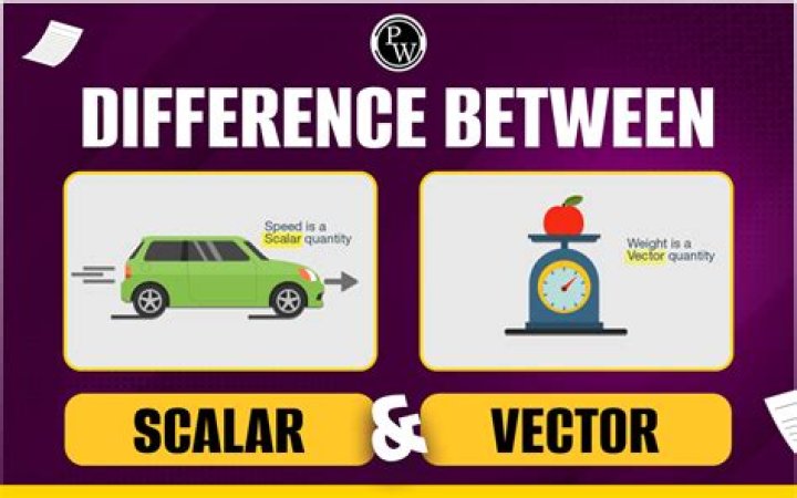 What is the difference between a Set, a Vector, and, a Vector Space?