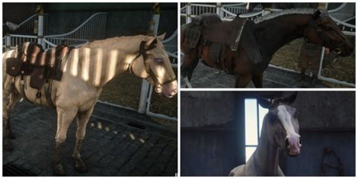 What is the fastest horse in Mount and Blade Warband?