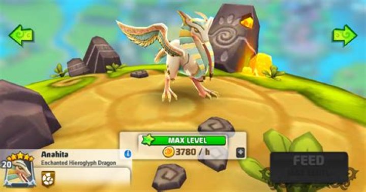 What is the max level a dragon can be?