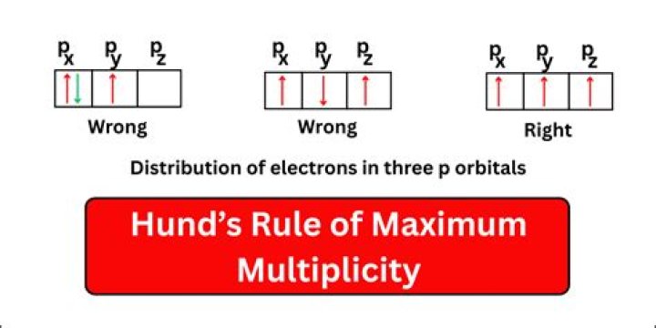 What is the maximum possible number of lives?