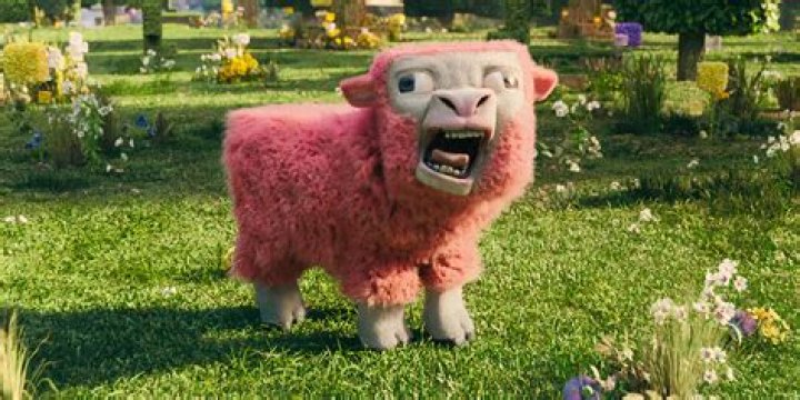 What sheep do you need to mate in order to try and get the rare pink sheep?