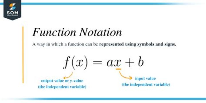 What was the notation for functions before Euler?