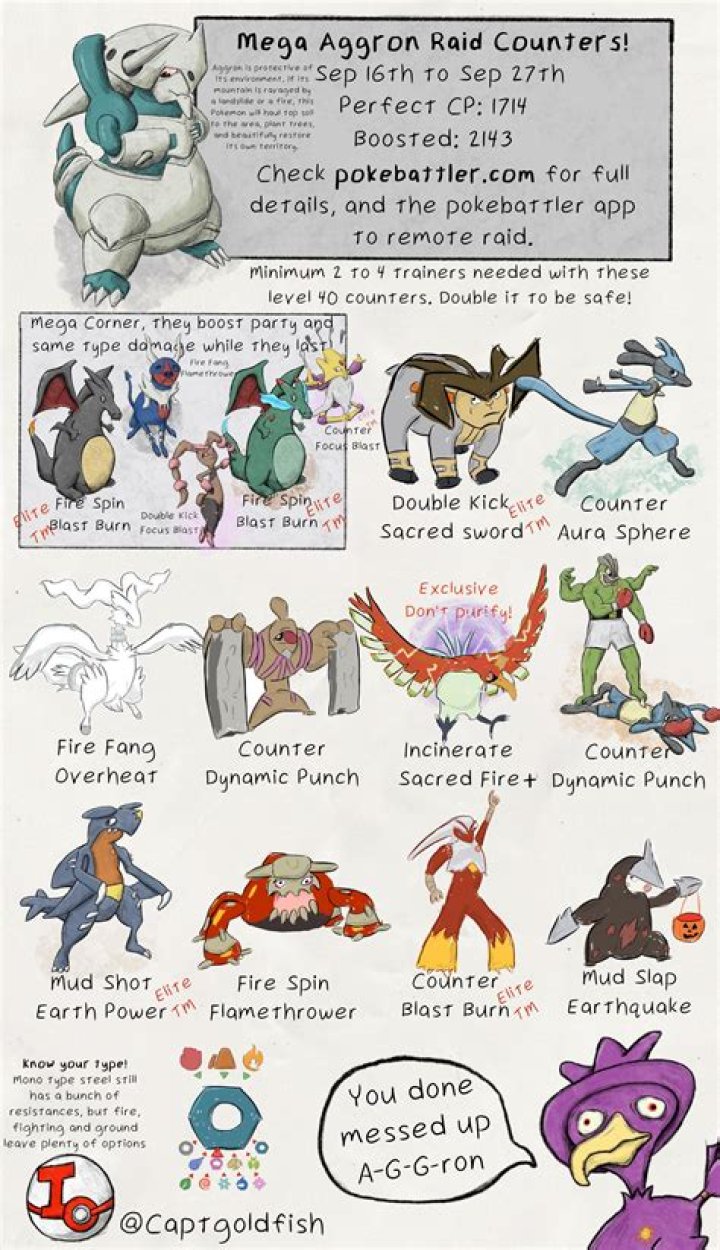 When To Use Mega Steelix Over Mega Aggron In Competitive Pokemon