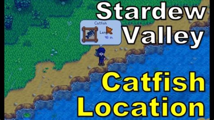 Where Can I Find Stardrops?