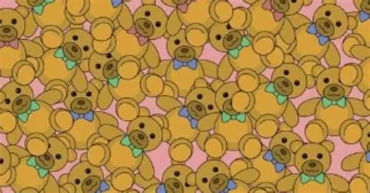 Where can I find the teddy bear?