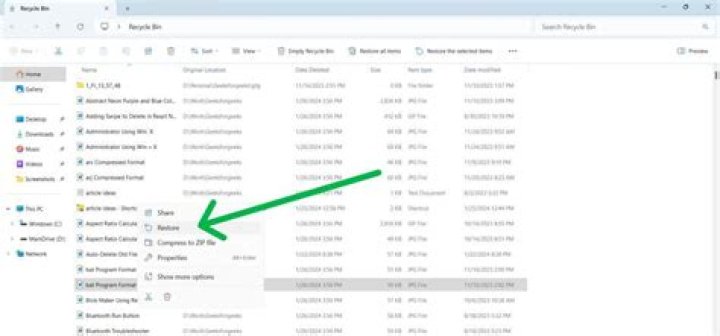 Where do the schematic files go?
