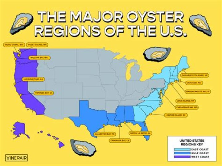 Where is the Salty Oyster?