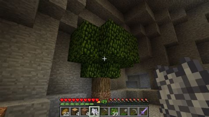 Why are my trees in Minecraft not growing?