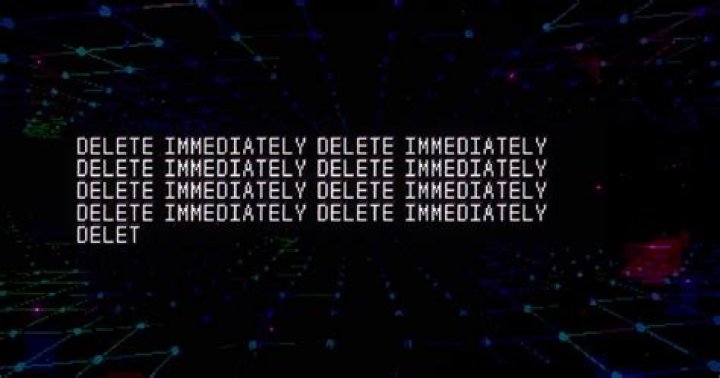 Why did the game shout DELETE IMMEDIATELY at me?